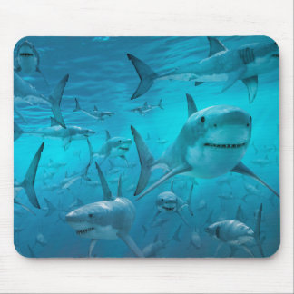 Tapis De Souris Requins