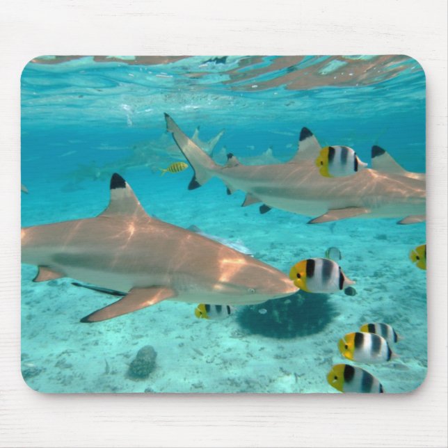 Tapis De Souris Requins dans le mousepad de lagune de Bora Bora (Devant)