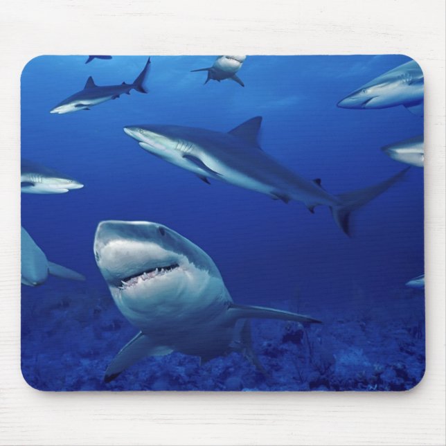Tapis De Souris Requins-souris (Devant)