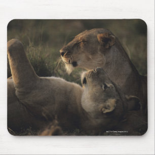 Tapis De Souris Réservation nationale 7 de Mara de masai