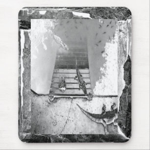 Tapis De Souris Réservoir de reptiles