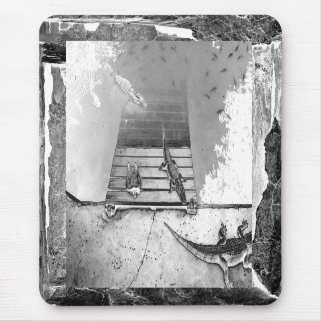 Tapis De Souris Réservoir de reptiles (Devant)