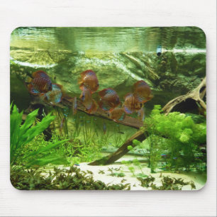 Tapis De Souris Réservoir de Symphysodon avec des poissons de