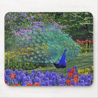 Tapis De Souris Ressort Fowers 2 de paon