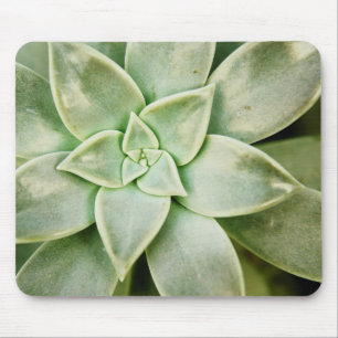 Tapis De Souris Ressort Succulent