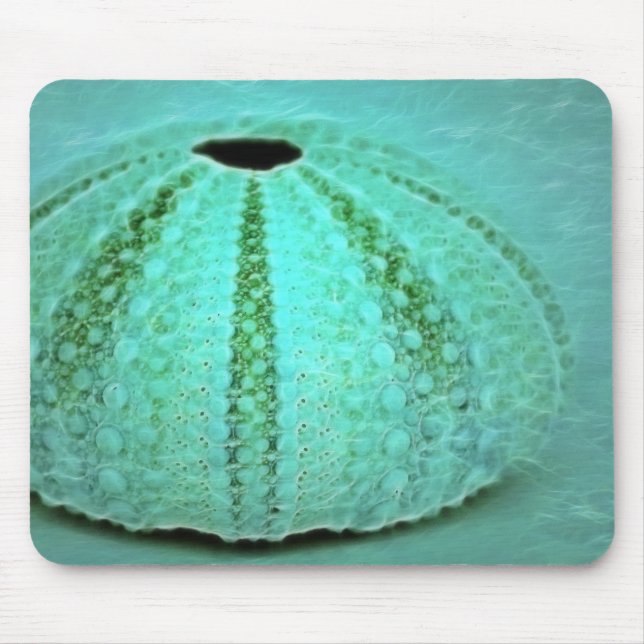 Tapis De Souris restes (Devant)