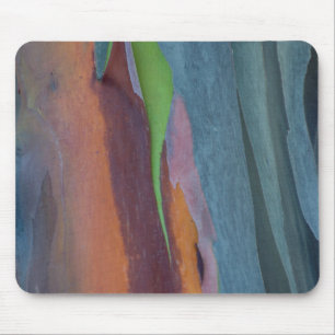Tapis De Souris Résumé d'arbre à gomme arc-en-ciel