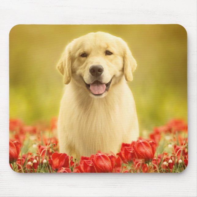 Tapis De Souris Retraite d'or en fleurs rouges (Devant)