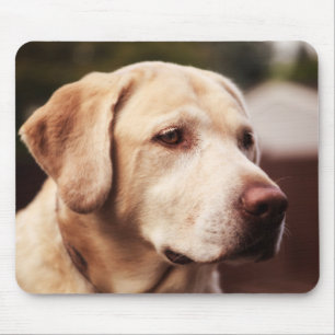 Tapis De Souris Retriever du Labrador