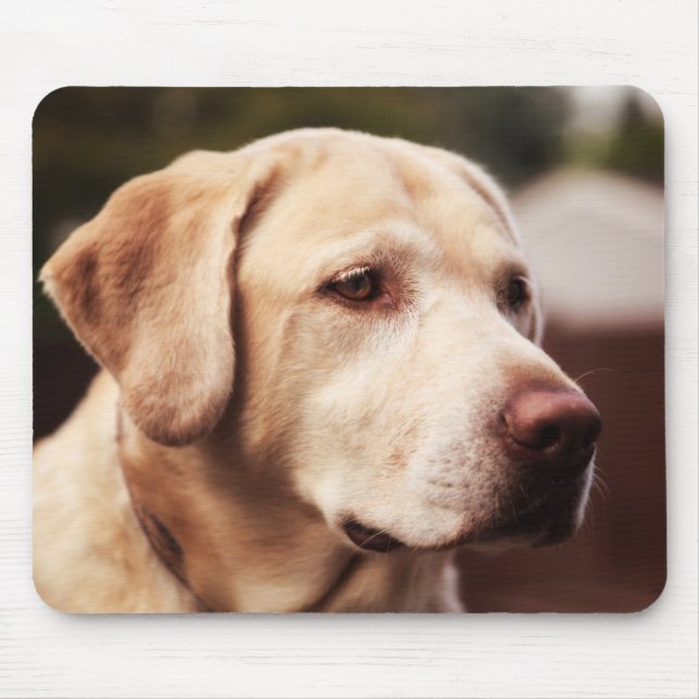Tapis De Souris Retriever du Labrador (Devant)