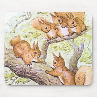 Tapis De Souris Réunion d'écureuil