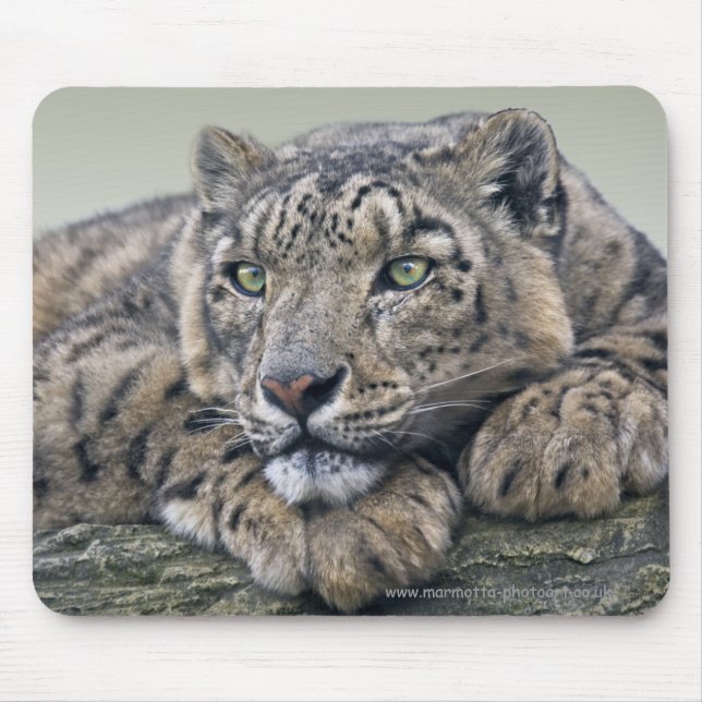 Tapis de souris Rêve de léopard (Devant)