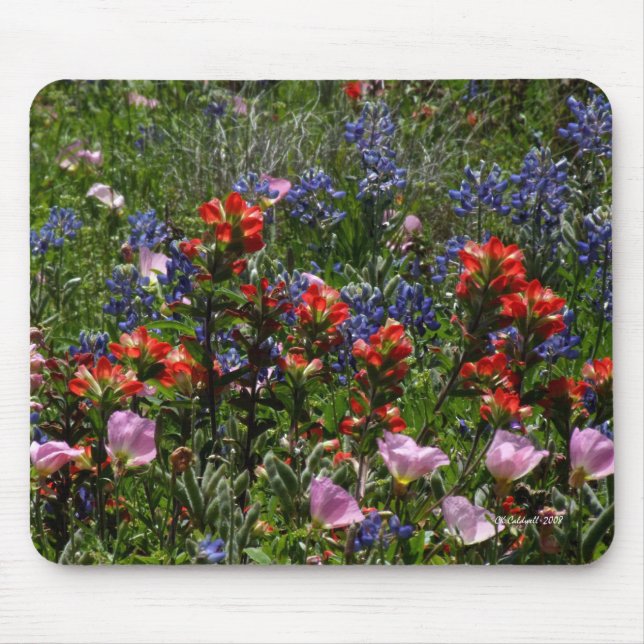 Tapis De Souris Rêves de fleur sauvage (Devant)