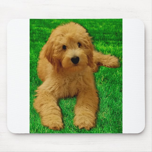 Tapis De Souris Rex The Goldendoodle (Devant)