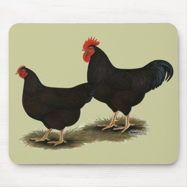 Tapis De Souris Rhode Island Red Bantams (Devant)