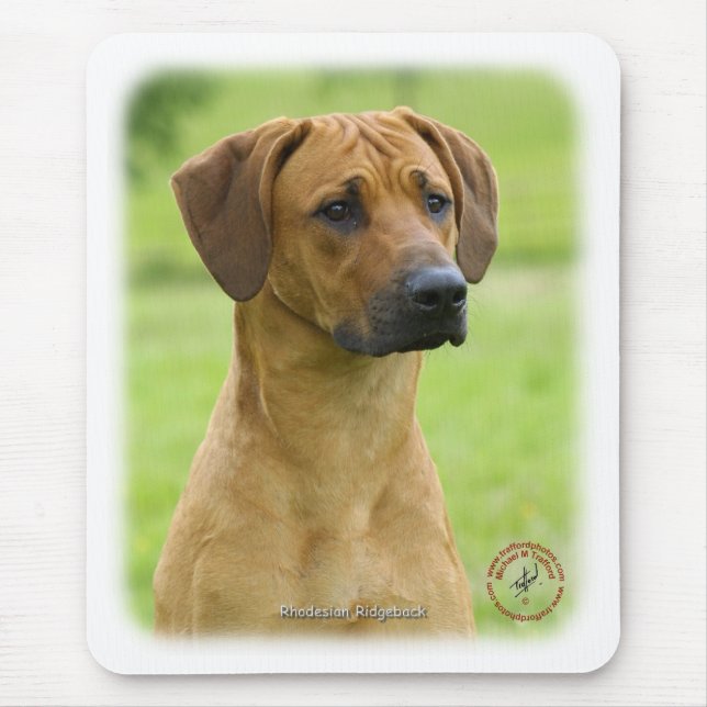 Tapis De Souris Rhodesian Ridgeback (Devant)