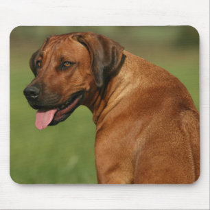Tapis De Souris Rhodesian Ridgeback Mousepad