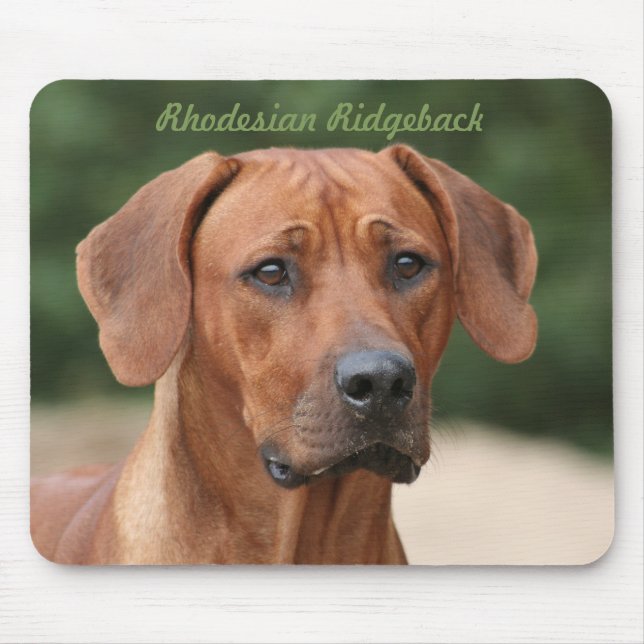 Tapis De Souris Rhodesian Ridgeback Muismat (Devant)