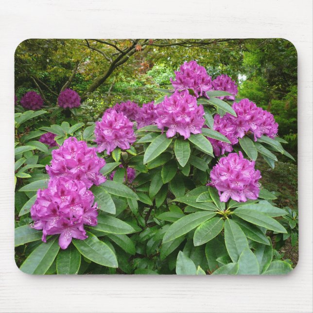 Tapis De Souris Rhododendron Ponticum (Devant)