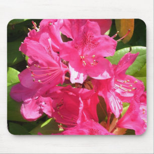 Tapis De Souris rhododendron rose