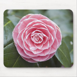 Tapis De Souris Rhododendron rose Mousepad