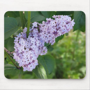 Tapis De Souris rideau lilas