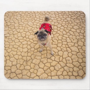 Tapis De Souris "Rides carlin drôle d'aventure sur fissures"