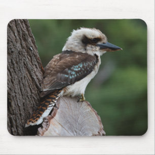 Tapis De Souris Rire Kookaburra