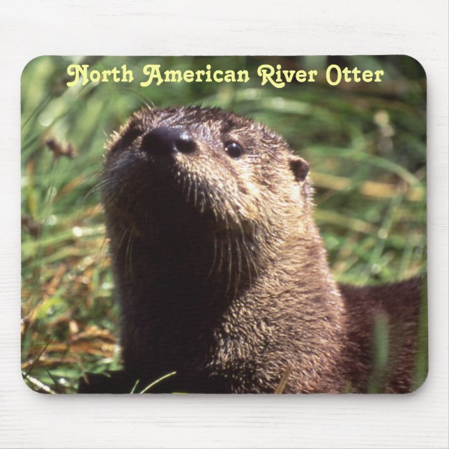 Tapis De Souris River Otter Up Close and Personal Mousepad (Devant)
