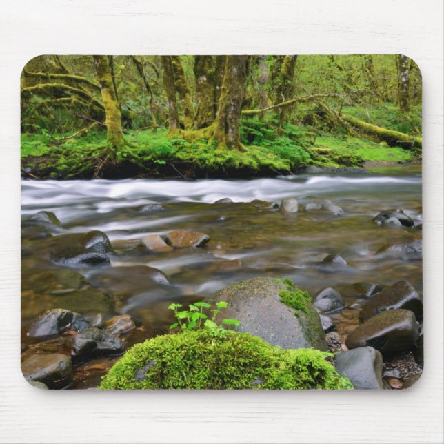 Tapis De Souris Rivière dans la forêt verte, Oregon (Devant)