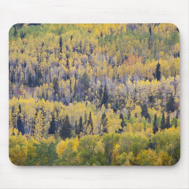 Tapis De Souris Rivière Provo et trembles (Devant)