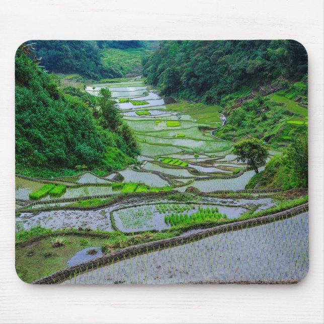 Tapis De Souris Rizières de Banaue, Luzon (Devant)
