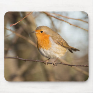 Tapis De Souris Robin