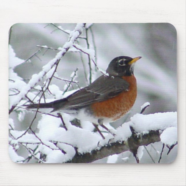 Tapis De Souris Robin dans l'oiseau Mousepad de neige (Devant)