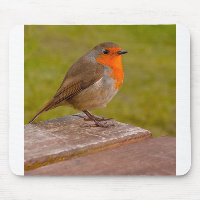 Tapis De Souris Robin de ressort (Devant)