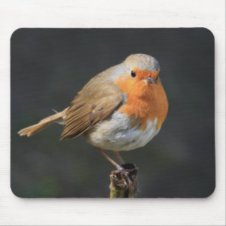 Tapis De Souris Robin gai