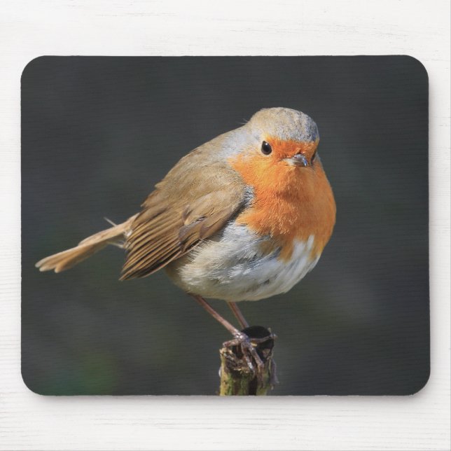 Tapis De Souris Robin gai (Devant)