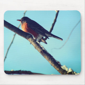 Tapis De Souris Robin In Snow Wildlife Nature 
