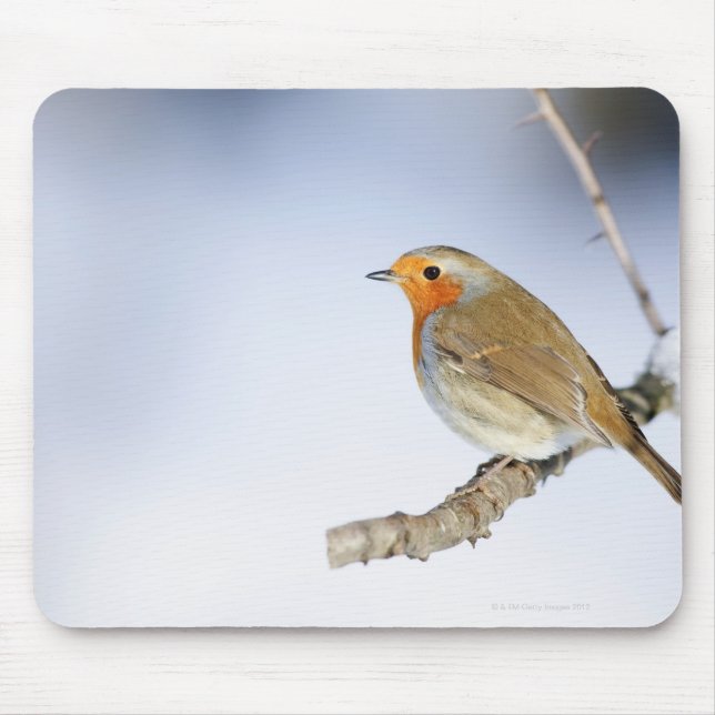 Tapis De Souris Robin perché sur une branche en hiver (Devant)