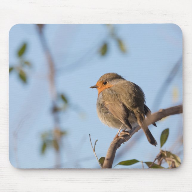 Tapis De Souris Robin Wildlife photo (Devant)