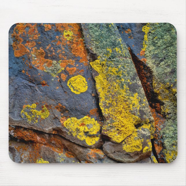 Tapis De Souris Rochers couverts de lichen (Devant)