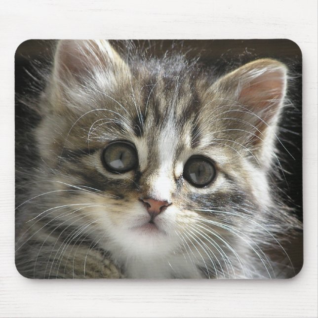Tapis De Souris Rocheux le chaton Mousepad (Devant)