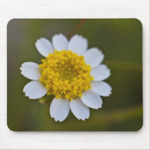 Tapis De Souris Rock Daisy Mousepad
