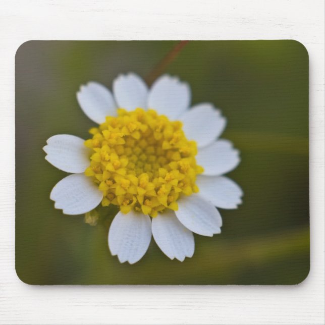 Tapis De Souris Rock Daisy Mousepad (Devant)