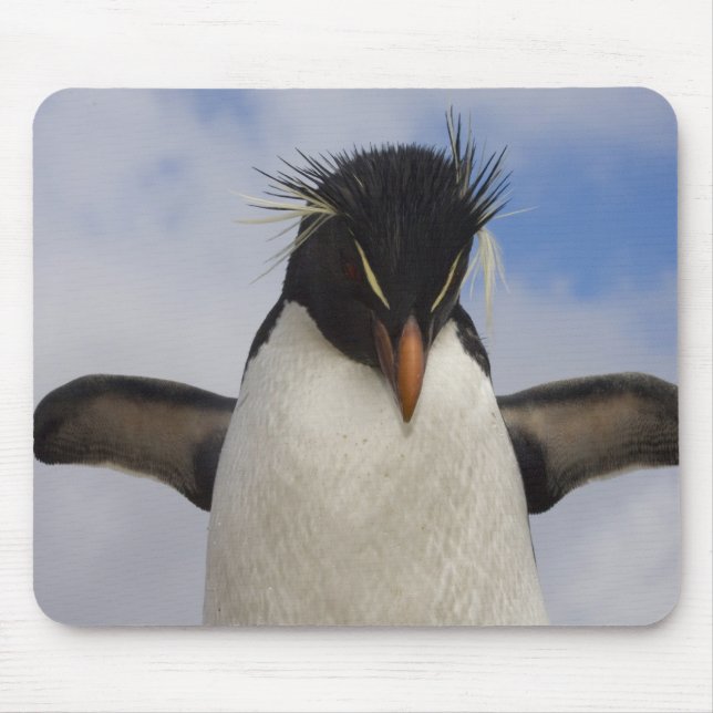 Tapis De Souris Rockhopper Penguin Eudyptes chrysocome (Devant)