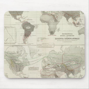 Tapis De Souris Rodentia, Ruminantia