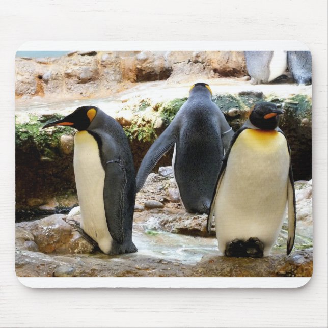 Tapis De Souris Roi Pingouin (Devant)