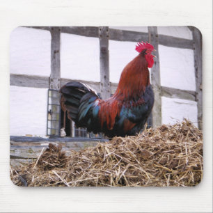 TAPIS DE SOURIS ROOSTER