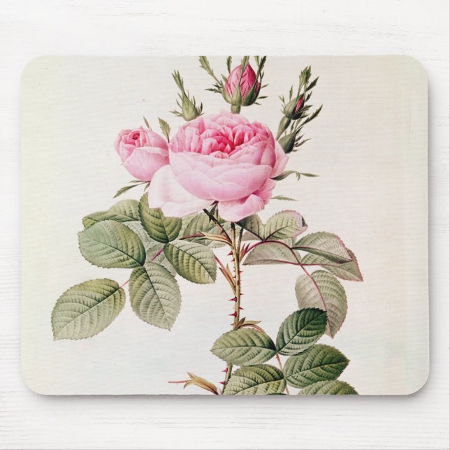 Tapis De Souris Rosa Bifera Officinalis, des 'roses de Les (Devant)