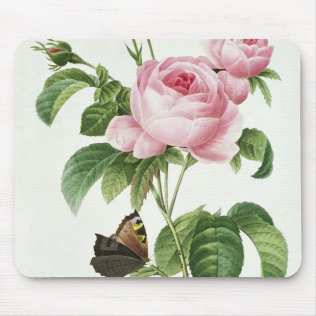 Tapis De Souris Rosa Centifolia (Devant)